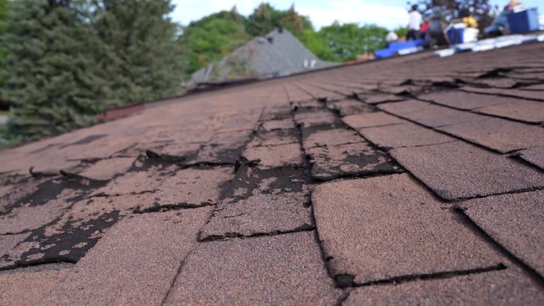 Best Roofing for New Construction  in Moscow, ID