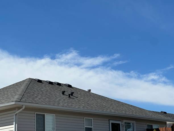 Professional Roofing Service in Moscow, ID